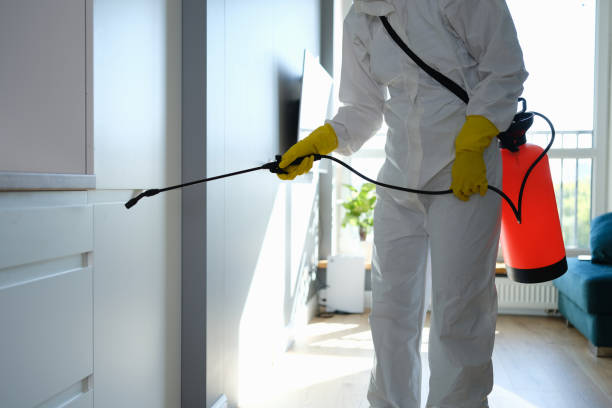 Best Attic Mold Remediation in Westminster, MD