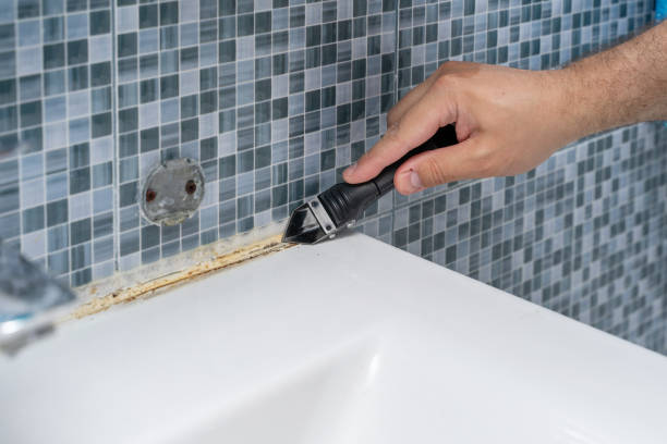 Best Kitchen Mold Remediation in Westminster, MD